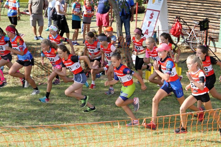 41869844_888129904729862_5302825781968240640_n (Small)